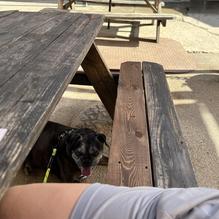 Utara Brewing Company restaurant view 1