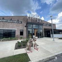 Whiskey Cake Kitchen & Bar restaurant view 1