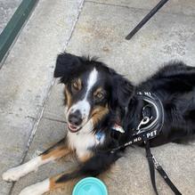 The Oven restaurant view 2