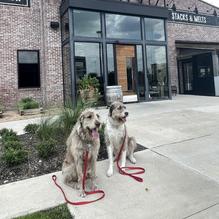 Whiskey Cake Kitchen & Bar restaurant view 2