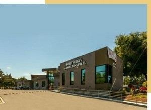 Animal hospital of south hot sale bay