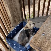 My Sisters Place at the Royal Gorge restaurant view 2