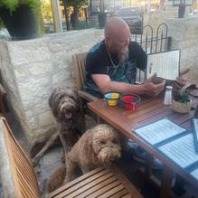 Altdorf Biergarten restaurant view 1