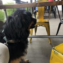 Lake Burger restaurant view 3