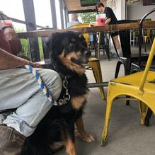 Lake Burger restaurant view 2