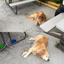 Jia Tella's restaurant view 1