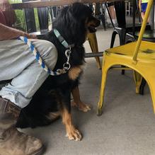 Lake Burger restaurant view 1