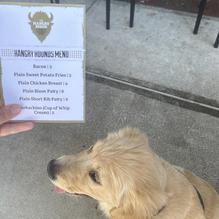 The Hangry Bison restaurant view 1