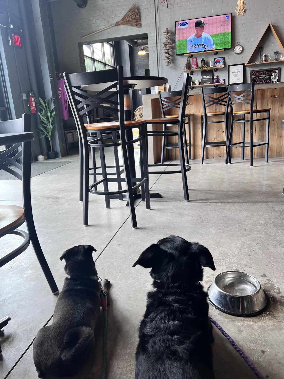 Nine Maidens Brewing Company restaurant view 1