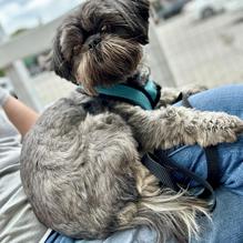 Back Porch Bistro restaurant view 2