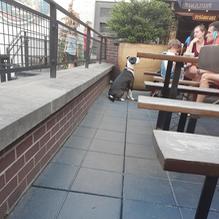 Der Biergarten restaurant view 1
