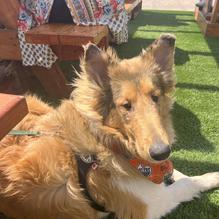 Sea Change Brewing Co. restaurant view 1