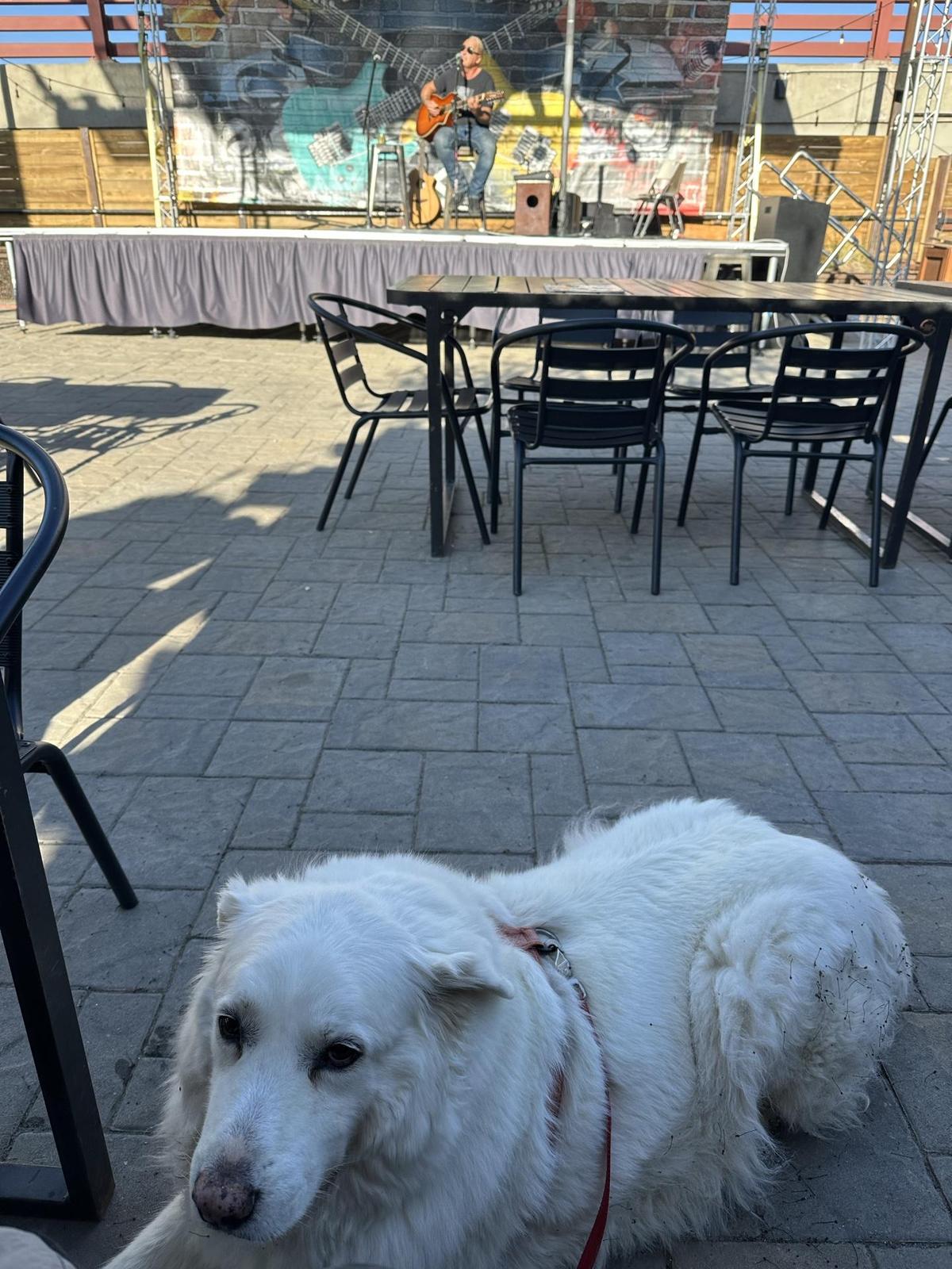 Silver Moon Brewing restaurant view 1