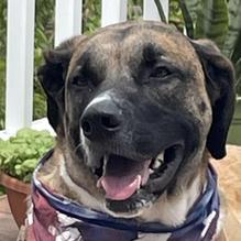 Brew Goshen restaurant view 1