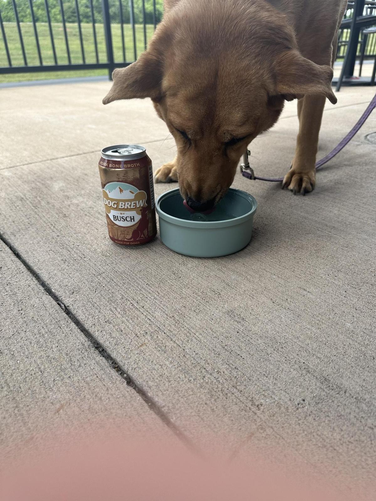 Flipdaddy's restaurant view 3