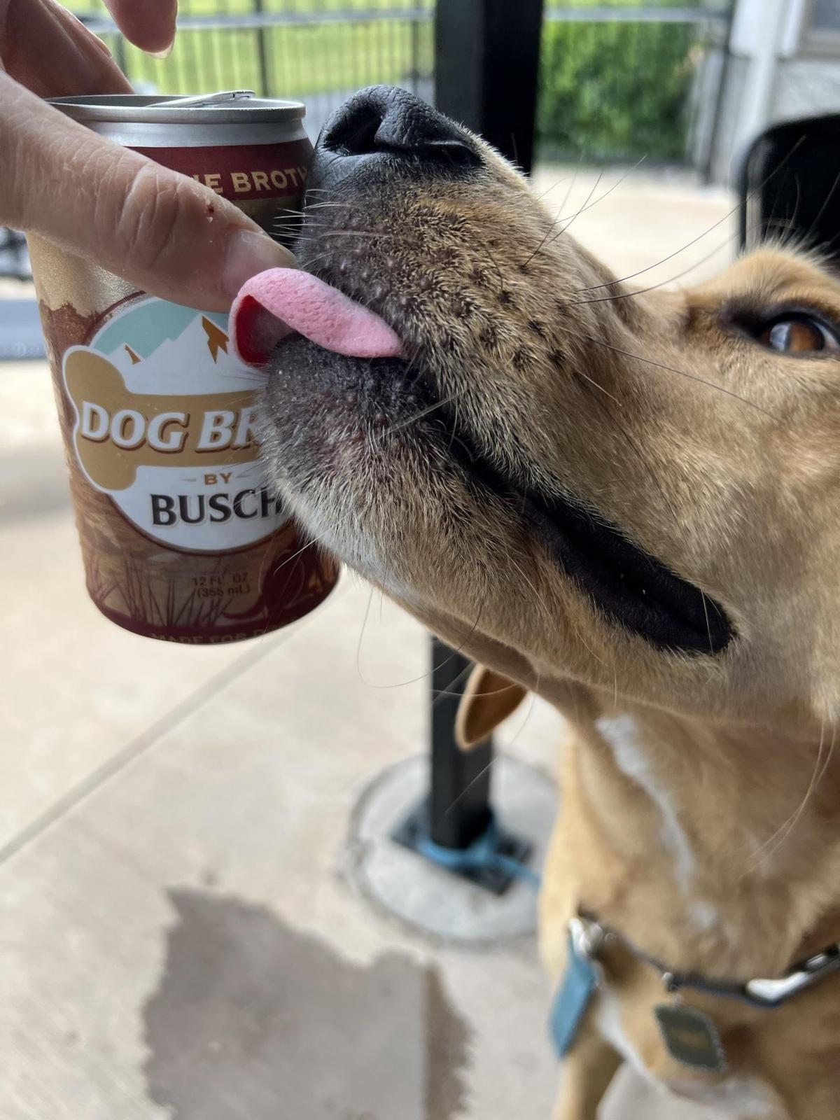 Flipdaddy's restaurant view 2