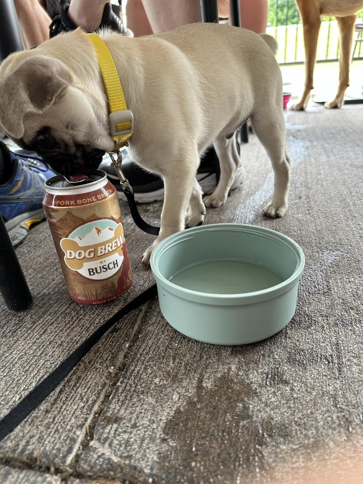 Flipdaddy's restaurant view 4