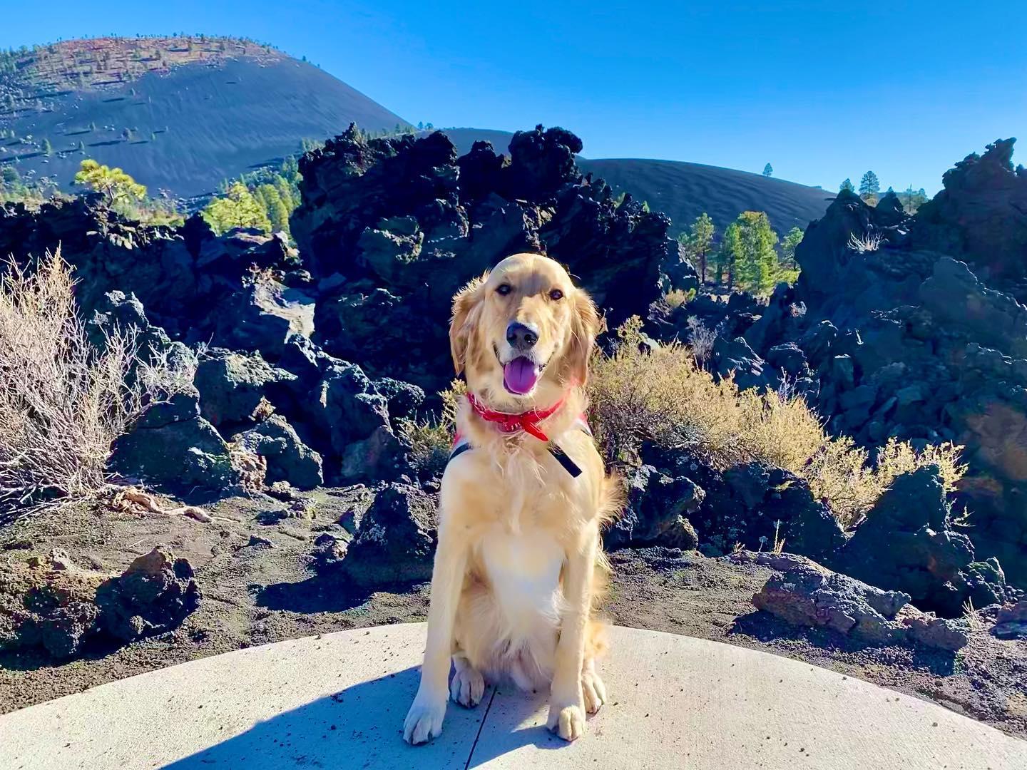 Sunset Crater Volcano National Monument