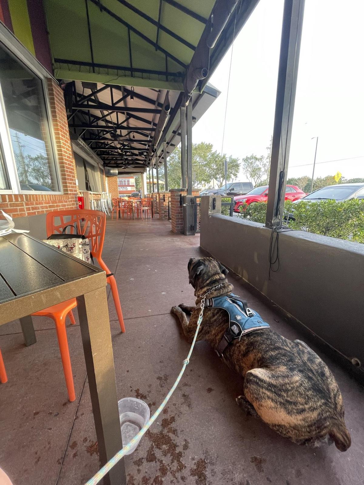 Mellow Mushroom restaurant view 1