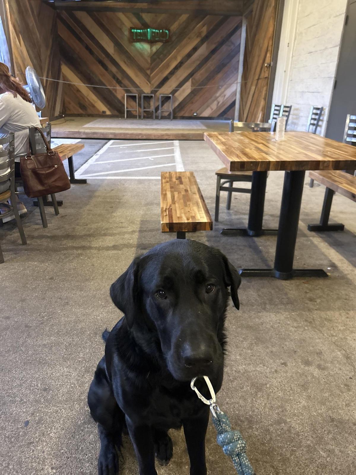 Tennfold Brewing restaurant view 1