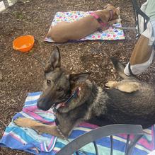 Burnt Tree Brewing restaurant view 1