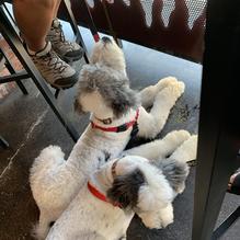 Juan's Flaming Fajitas & Cantina restaurant view 1