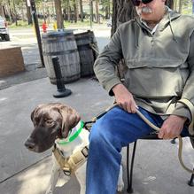 Liberty Sports Bar and Grill restaurant view 1