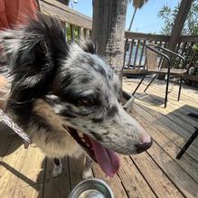 Castaways restaurant view 2