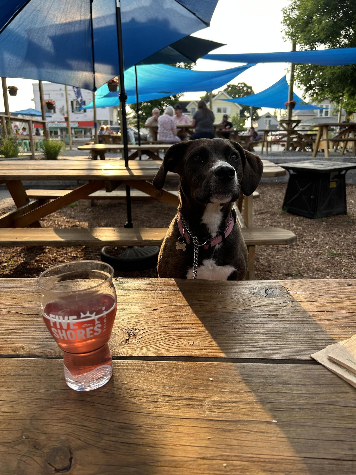 Five Shores Brewing restaurant view 1