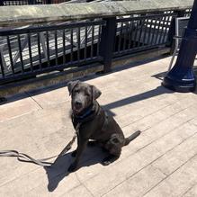 Jack's Seafood restaurant view 1