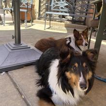 Strings Italian Cafe restaurant view 2