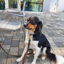 The Daily Planet Cafe restaurant view 2