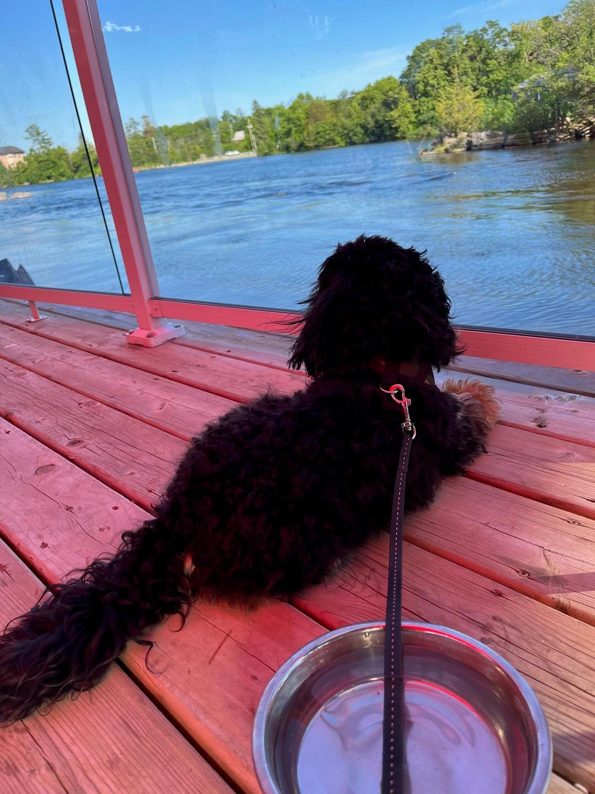 The Bobcaygeon Inn Restaurant restaurant view 1