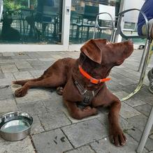 The Daily Planet Cafe restaurant view 1