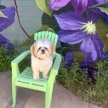 Turtle Rock Coffee & Cafe restaurant view 1