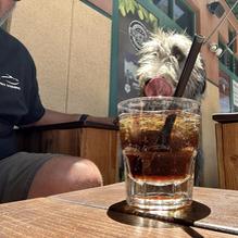 Aces & Ales restaurant view 1