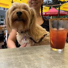 Schnitzels restaurant view 2