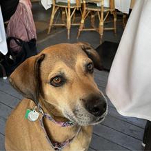 Cucina restaurant view 1