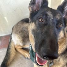 Coffee Pub restaurant view 2