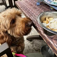 Boatyard Pub restaurant view 1