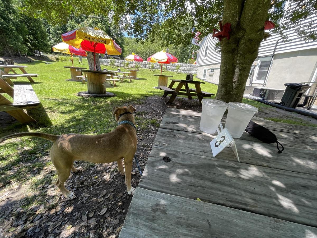 Corky's Dawg House restaurant view 3