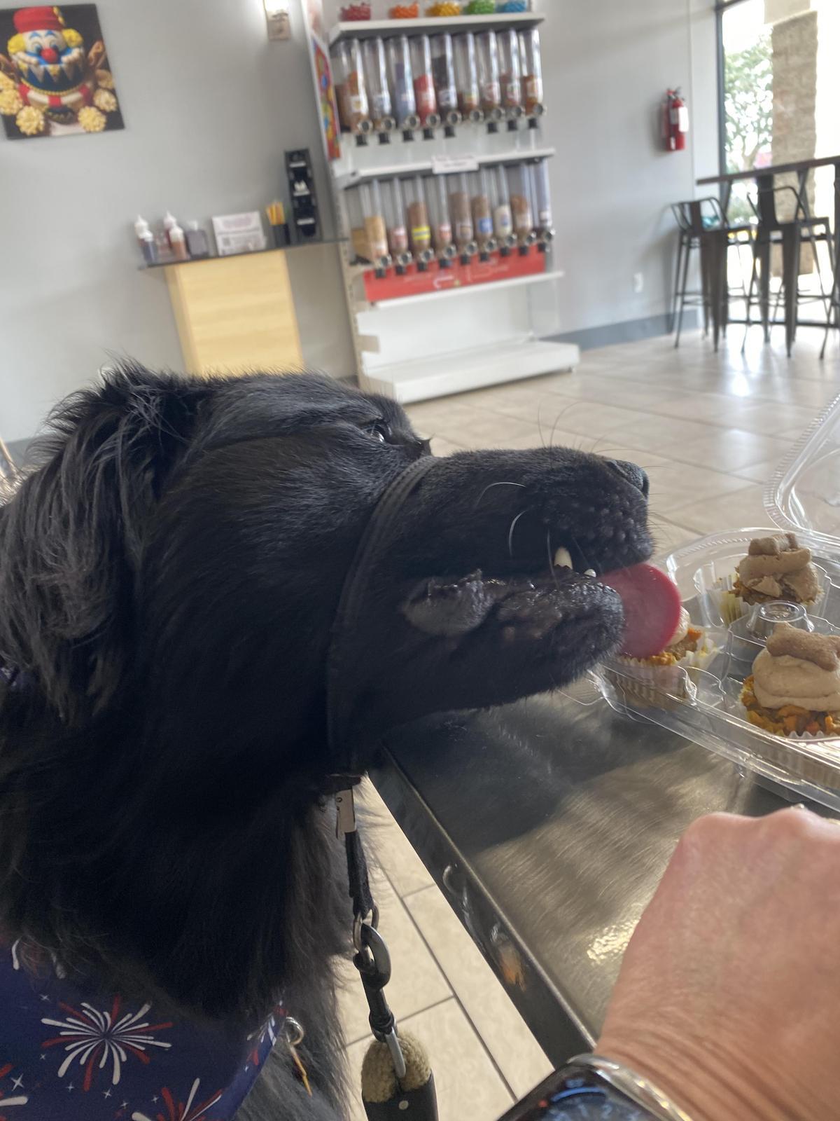 Kookie's restaurant view 2