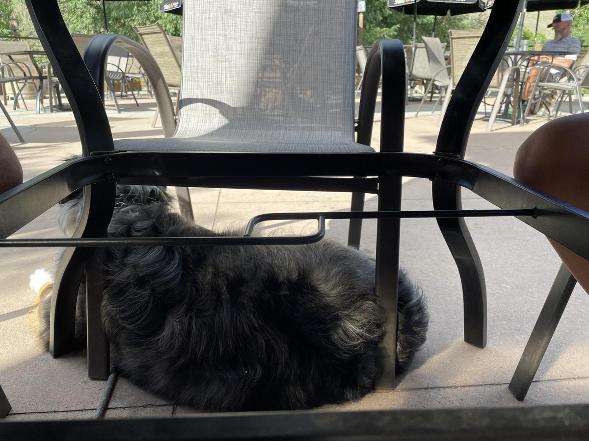 High Side! Bar & Grill restaurant view 2