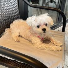 The Smokehouse restaurant view 1