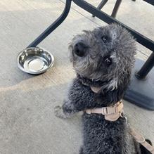 Mean Mugs Pub restaurant view 3