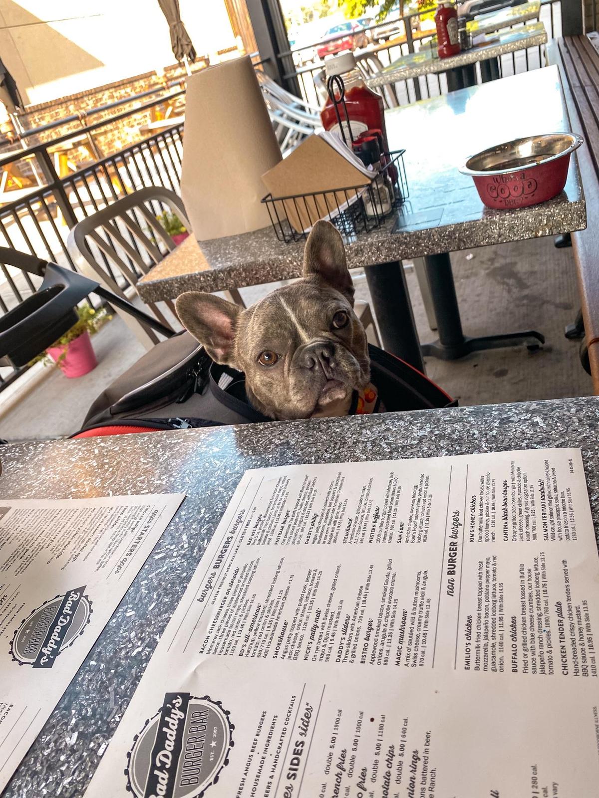Bad Daddy's Burger Bar Chattanooga restaurant view 3