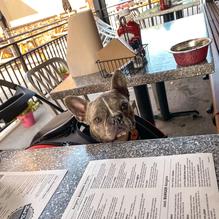 Bad Daddy's Burger Bar Chattanooga restaurant view 3