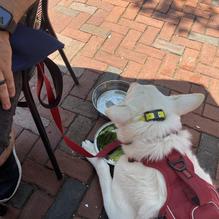 Rockafellas restaurant view 1