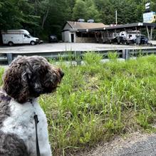 Hi-Hat Pancake House restaurant view 1