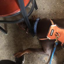 Centerpoint Brewing restaurant view 2